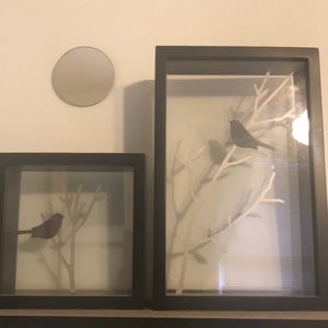 Bird shadow boxes
